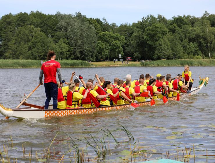 Drakonų valčių festivalis